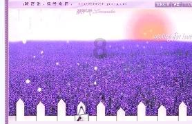 打12345举报学校会被发现吗